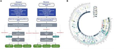 Exploring causal correlations of inflammatory biomarkers in idiopathic normal-pressure hydrocephalus: insights from bidirectional Mendelian randomization analysis